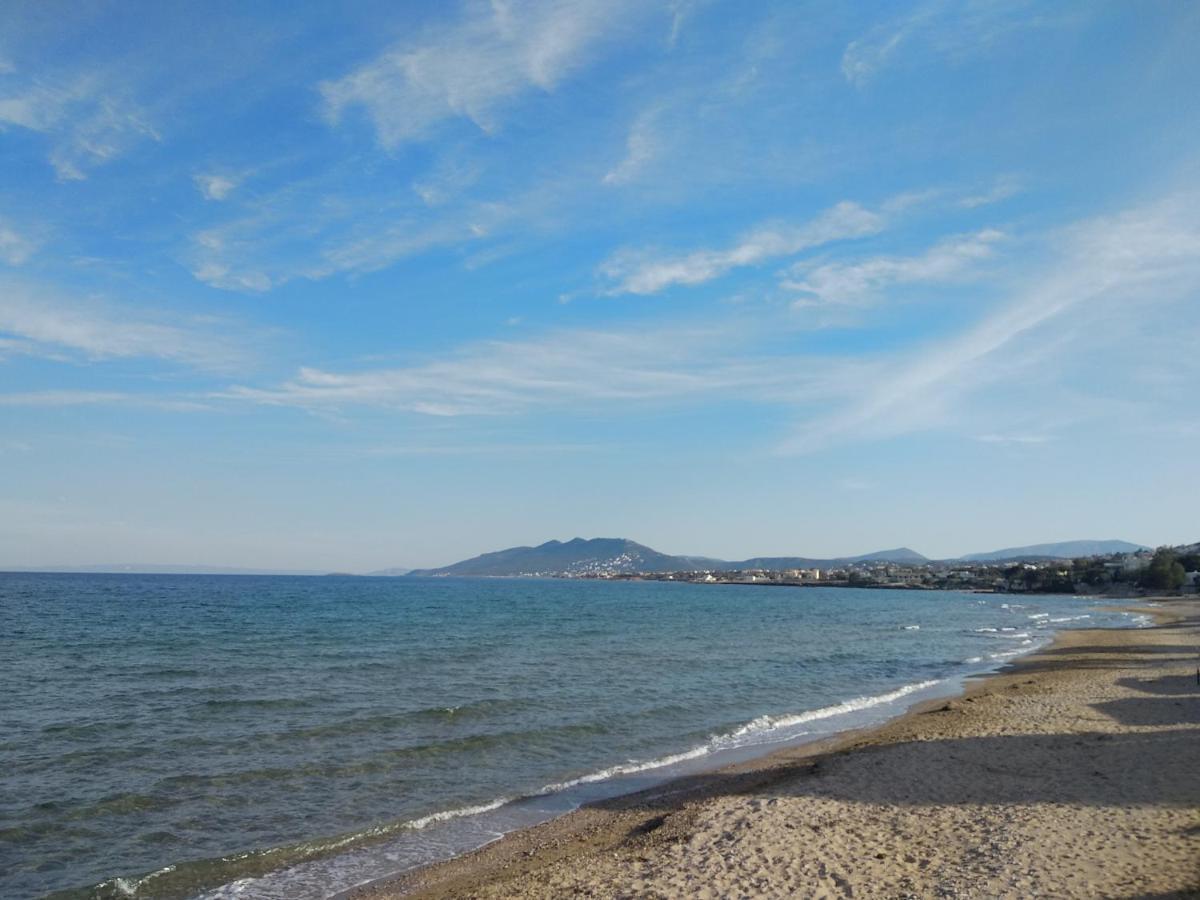 La Vita Apartments-Near Airport & Sea Artemida  Luaran gambar