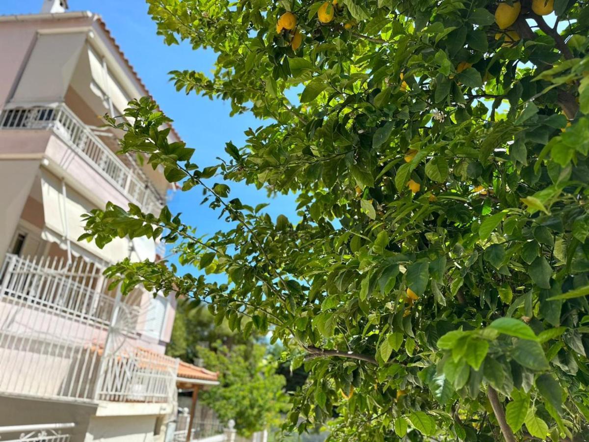 La Vita Apartments-Near Airport & Sea Artemida  Luaran gambar
